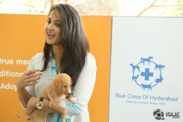 Anushka at Blue Cross Pet Carnival 2014